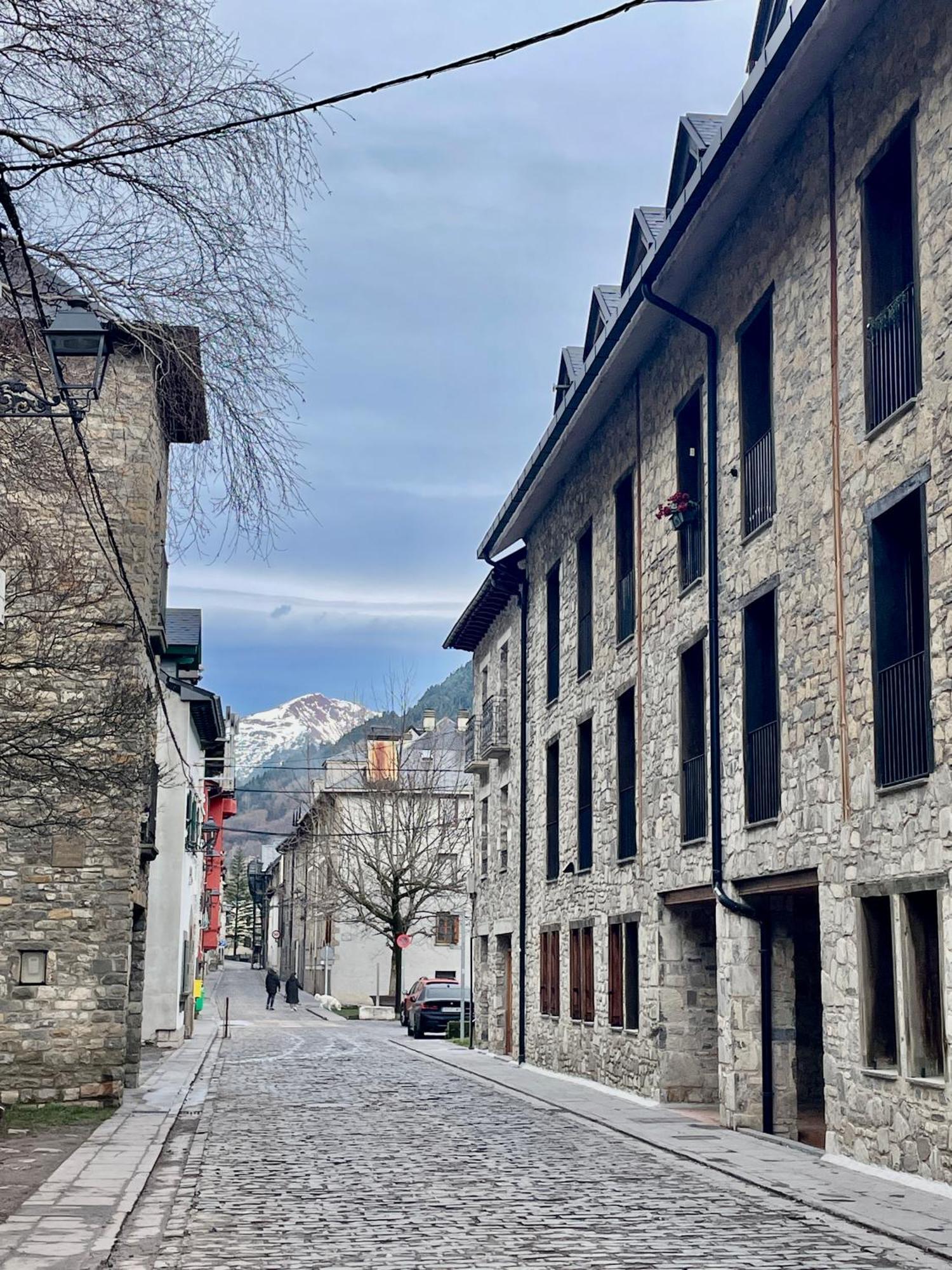 Calmfranc Atico Abuhardillado Con Vistas Al Rio Y La Montana Avistamiento De Ciervos En Canfranc Pueblo Exterior photo